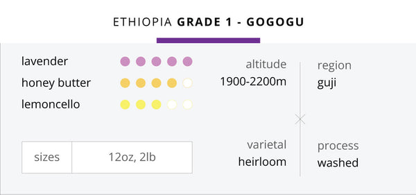 Ethiopia Grade-1 Gogogu