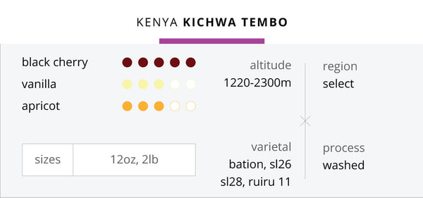 Kenya Kichwa Tembo