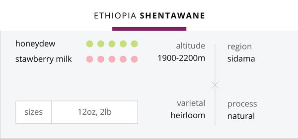 Ethiopia Grade-1 Shentawane