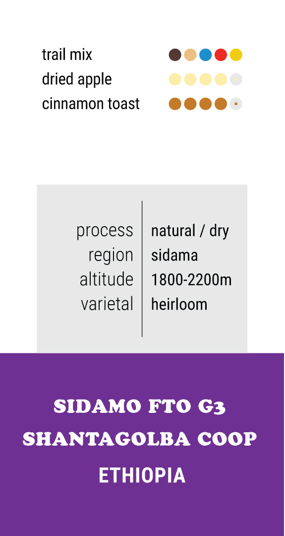 Ethiopia Sidamo FTO G3 Shantagolba Coop