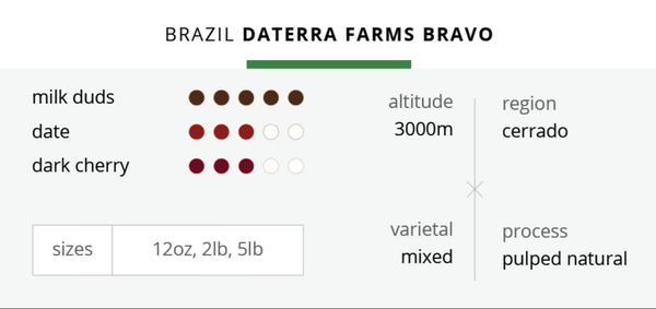 Brazil Daterra Farms Bravo