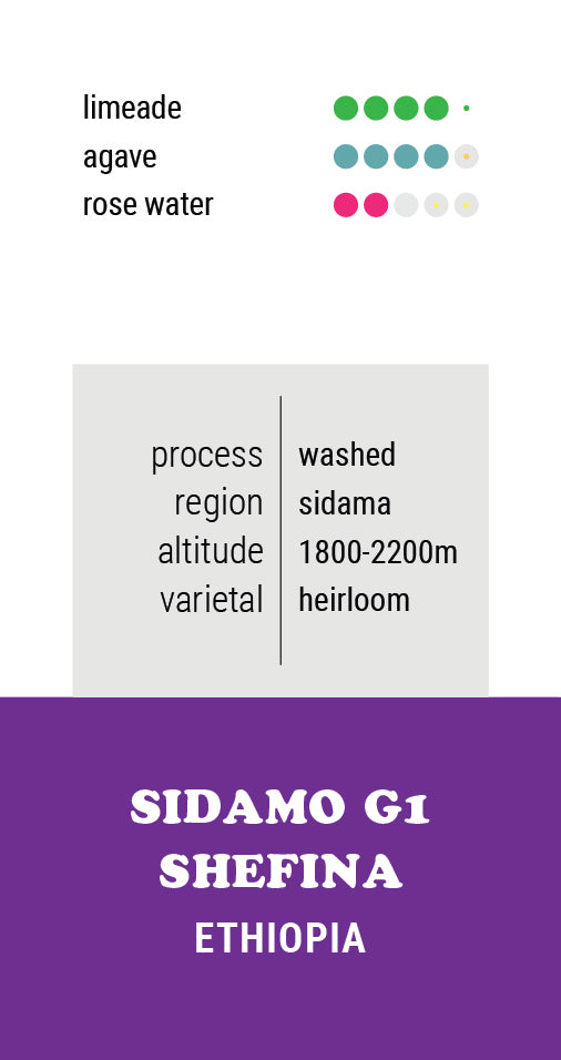 Ethiopia Sidamo G1 Shefina