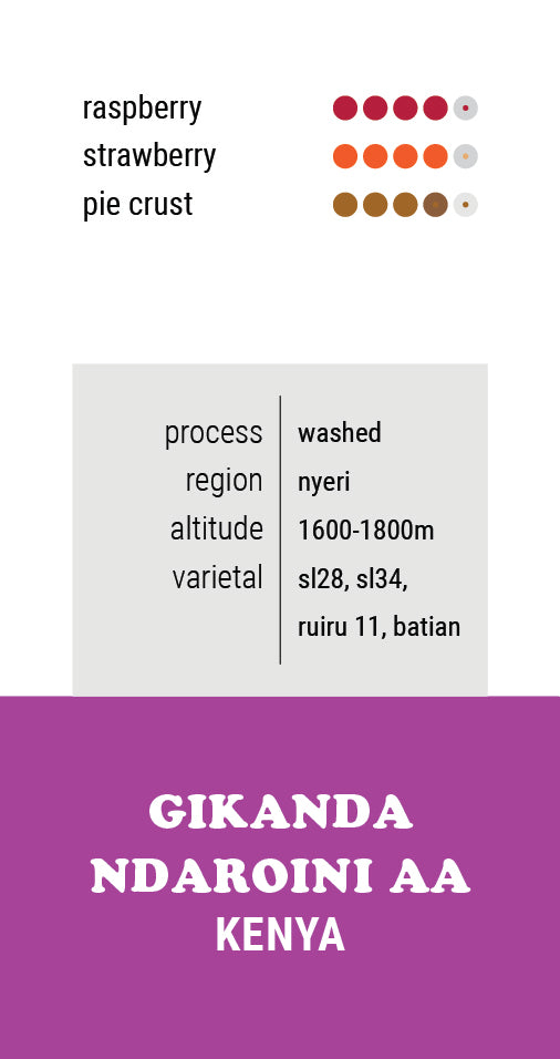 Kenya AA Gikanda Ndaroini