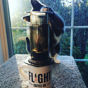 Aeropress Brew Guide