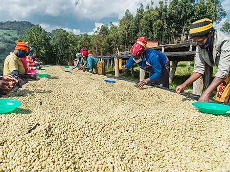 Rwanda Mbizi CWS