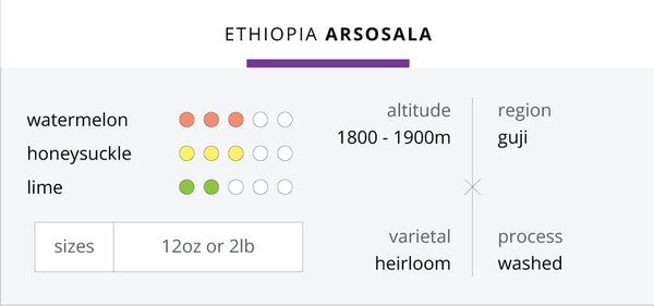 Ethiopia Arsosala