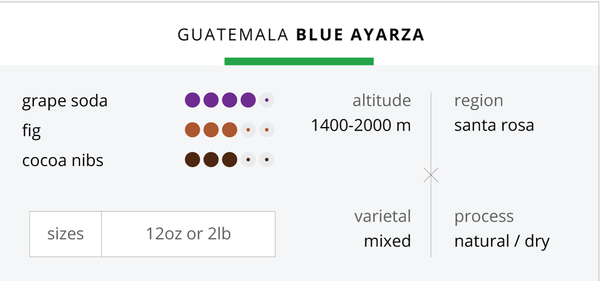 Guatemala Blue Ayarza