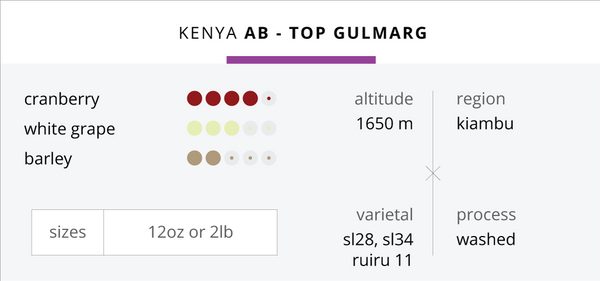 Kenya AB-Top Gulmarg