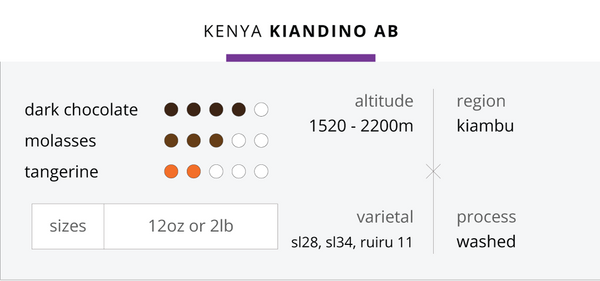 Kenya Kiandino AB