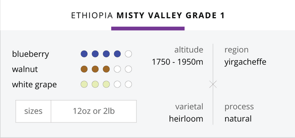 Misty Valley- Ethopia Yirgacheffe (Natural)