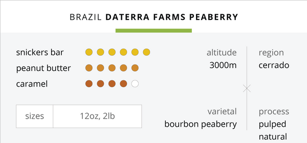 Brazil Daterra Farms Peaberry