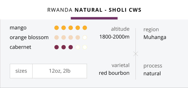 Rwanda Natural - Sholi CWS