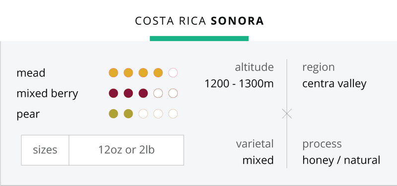 Costa Rica- Sonora Honey Natural