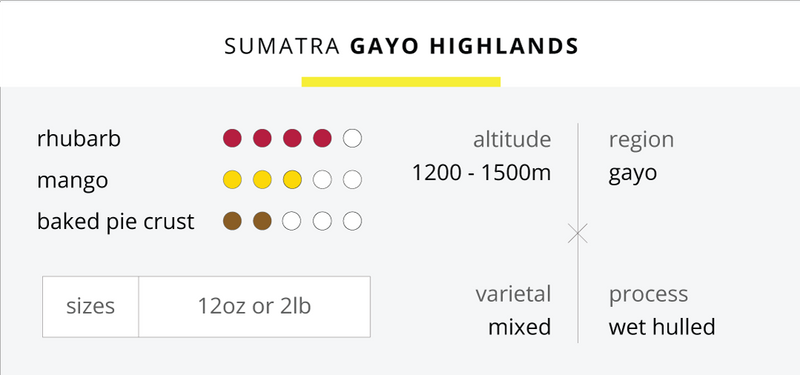 Sumatra Gayo Highlands