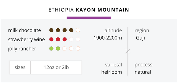 Ethiopia Kayon Mountain (2024)