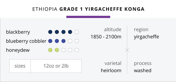 Ethiopia Grade-1 Yirgacheffe Konga