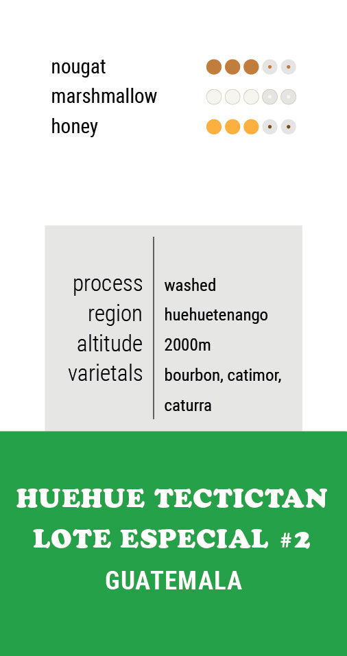 Guatemala Huehue Tectican - Silvestre Velasquez Lote Especial #2