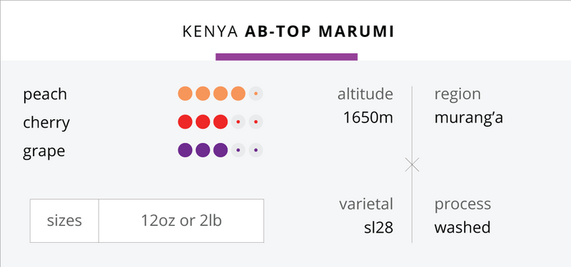 Kenya AB-Top Marumi