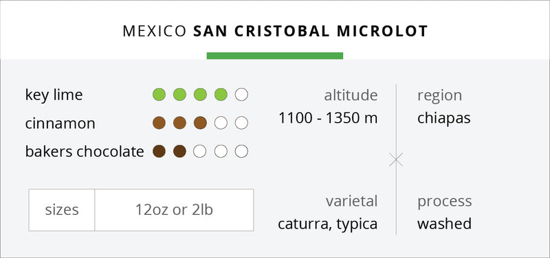 Mexico San Cristóbal Microlot