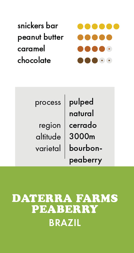 Brazil Daterra Farms Peaberry