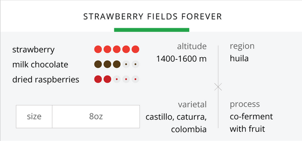 Strawberry Fields Forever | Limited Release