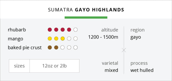 Sumatra Gayo Highlands